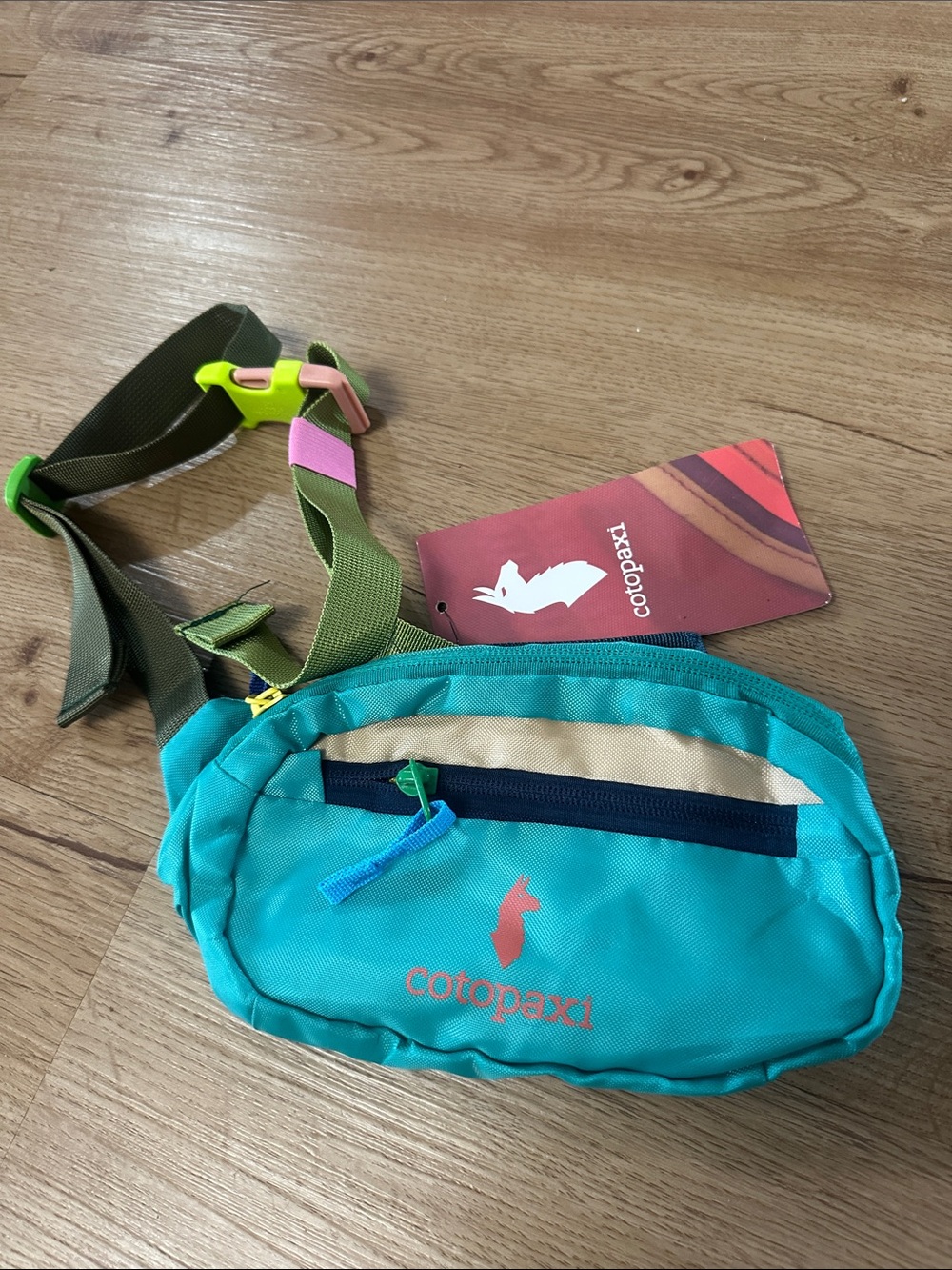 Cotopaxi belt bag